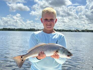 Sarasota Report Photo 1