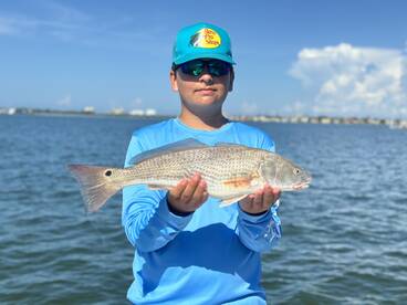 Sarasota Report Photo 2