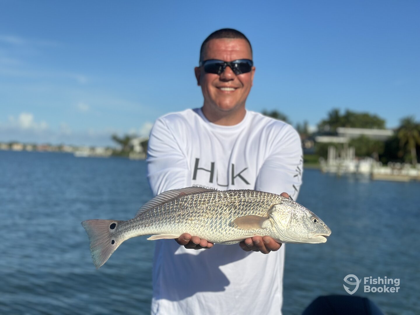 Sarasota Report Photo 0