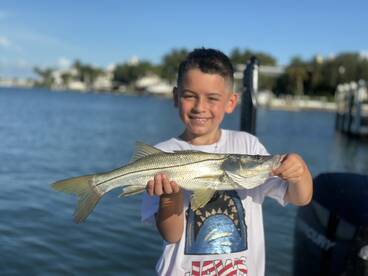 Sarasota Report Photo 2