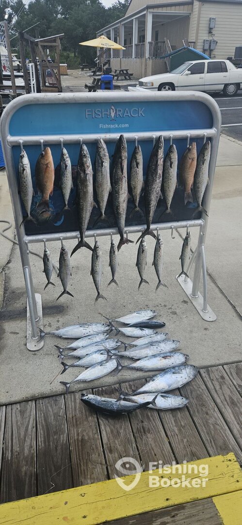 Panama City Report Photo 0
