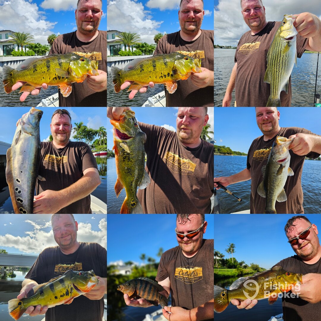 Delray Beach Report Photo 0