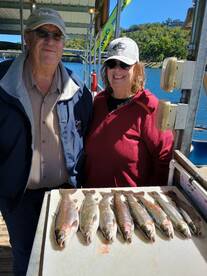 Branson Report Photo 2