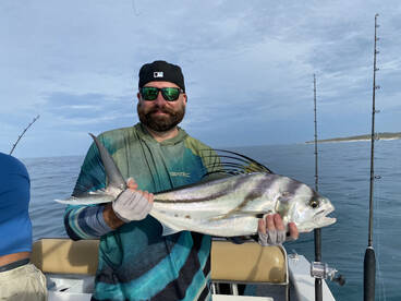 Puerto Vallarta Report Photo 2
