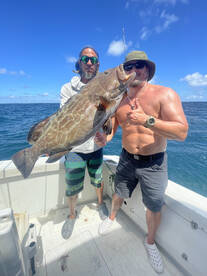 Book while there bitting!!!