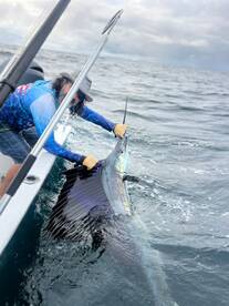 Herradura Report Photo 1