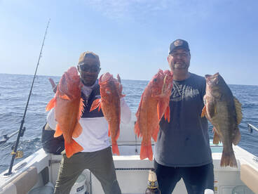 Deep Water Rock Cod & Ling Cod Opens Oct