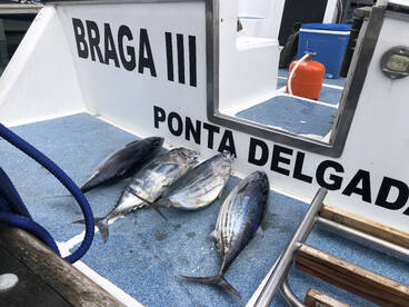 Povoacao Report Photo 2