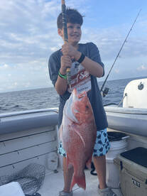 Snapper dates still available.