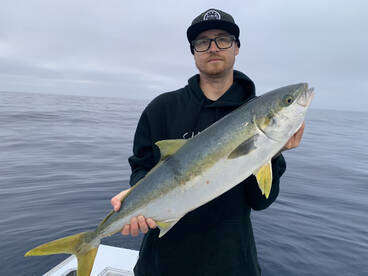 Great action continues!!!! 