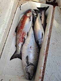 Parksville Report Photo 1