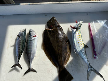 Good ocean flounder fishing