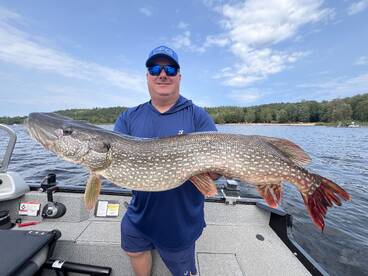 Walleye and Pike - The Fall Bite