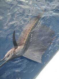 Fall fishing is coming in hot!