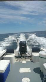 Newburyport Report Photo 1