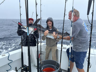White Marlin Catch On Champiomship Offsh