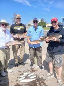 Drum bluefish and shrimp!