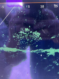 A dayon the lake with repeat clients sea