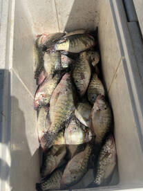 Mannford Report Photo 2