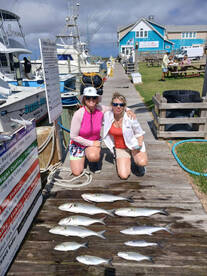 Sept.6 morning 1/2 day