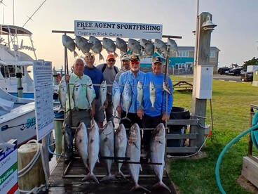 Sept. 9 All Day Wreck/Live Bait/Bottom F