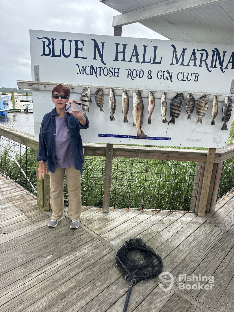 Darien Report Photo 0