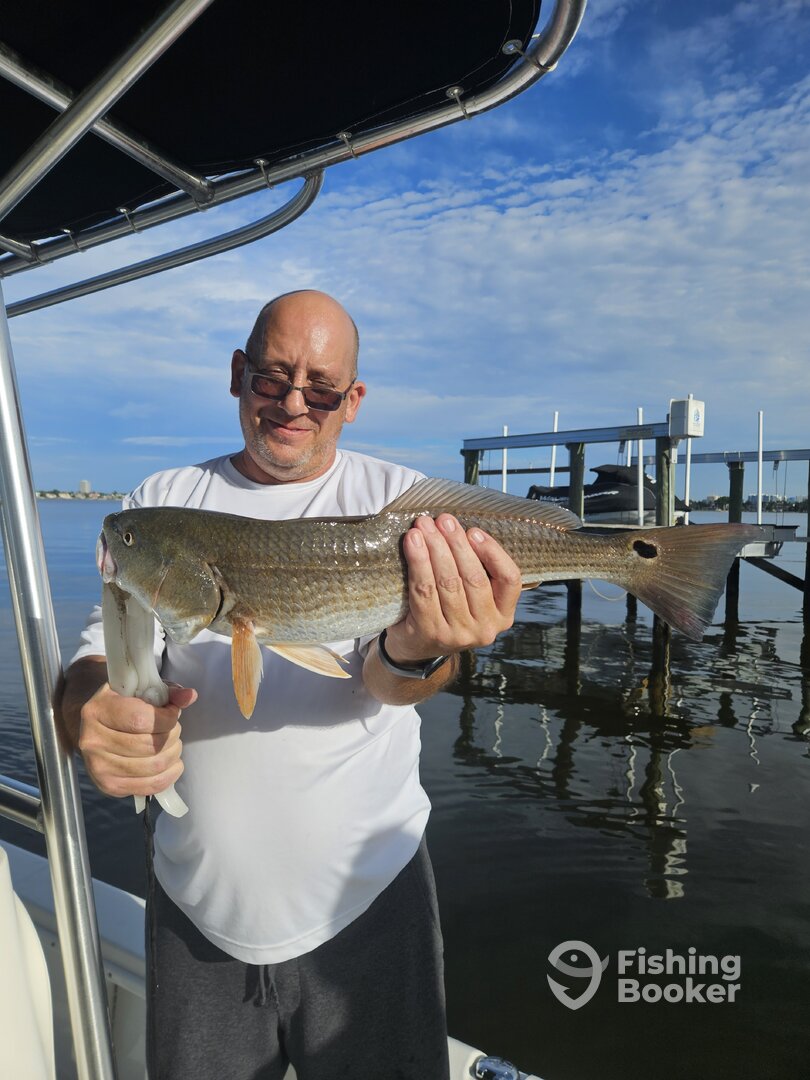 Sarasota Report Photo 0