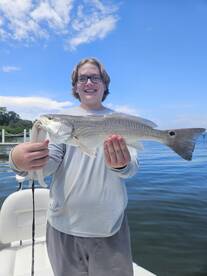 Sarasota Report Photo 1