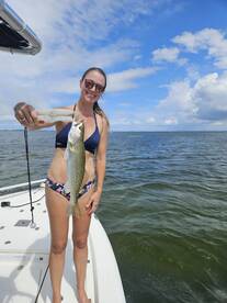Sarasota Report Photo 2