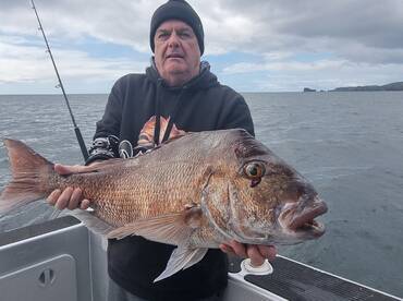 Spring snapper