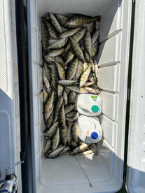 Oak Harbor Report Photo 2