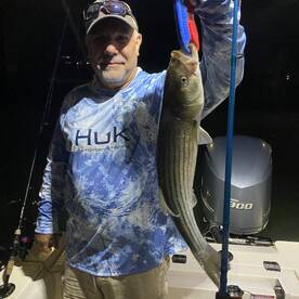 Ocean City Report Photo 1