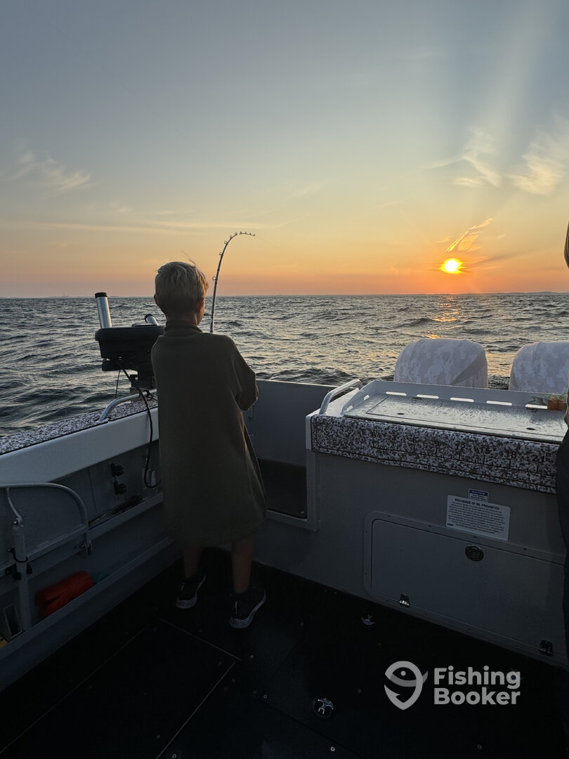 Holland Report Photo 0