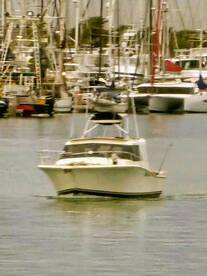 Starting to catch a few Spanish mackle