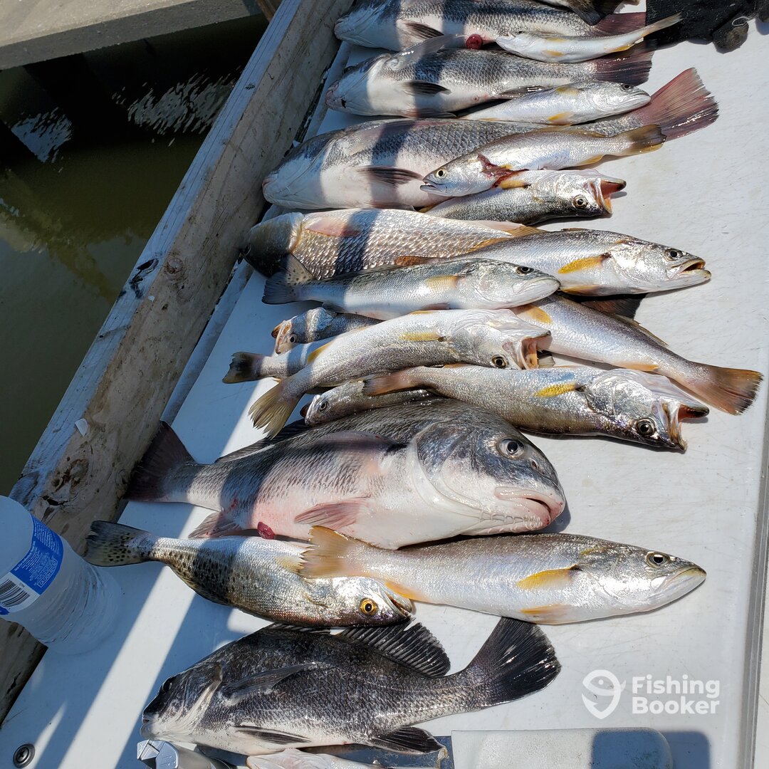 Biloxi Report Photo 0