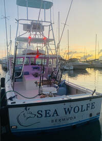 Sandys Report Photo 2