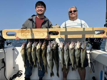 Big Box of Walleye!