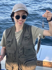 New York City Report Photo 1