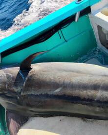 San Jose del Cabo Report Photo 1