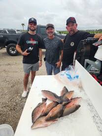 Finally some sunshine