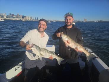 Boston Report Photo 1