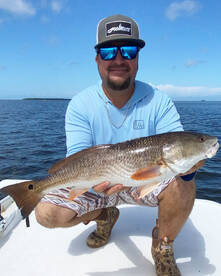 Homosassa Report Photo 1