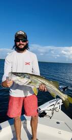 Redfish & Snook bite is starting to fire