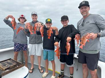 Everyone caught Rockcod