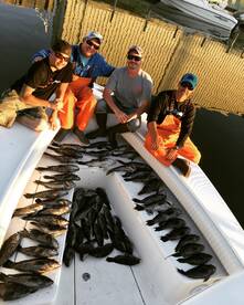 Virginia Beach Report Photo 2