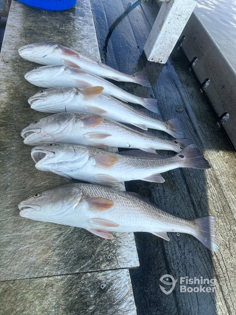 Rockport Report Photo 0