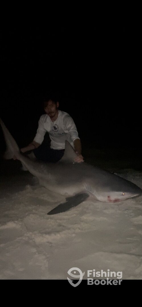 Destin Report Photo 0