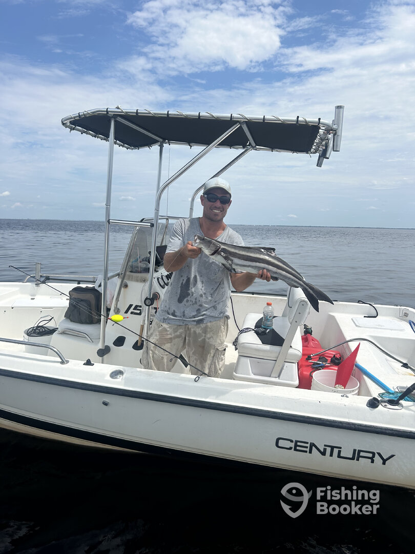 Punta Gorda Report Photo 0