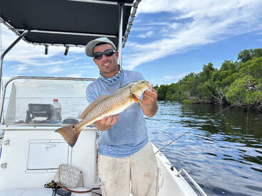 Punta Gorda Report Photo 2