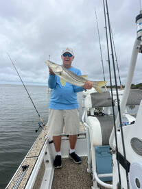 Crystal River Report Photo 2